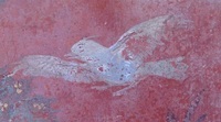 Fig. 1.38. Viridarium 70, east wall, detail of bird, workshop B. Photo: P. Bardagjy.