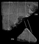 Matching incisions (solid lines) and veining direction (dashed) constraints between fragments 330 and 354.