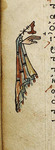 A tan portion of a parchment displays an illustration.