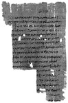 Fragment of a private letter regarding the care of a goose; provenance unknown, I–II CE. Black and white image of a piece of papyrus with writing on it.