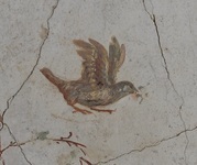 Fig. 1.36. Porticus 60, north wall, detail of bluebird on left, workshop B. Photo: P. Bardagjy.