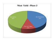 Meat yield from the main domestic taxa in Phase B-3, represented as a proportion of the total meat yield.