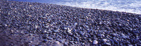 A photo of many cantos rodados or cobblestones on the beach.