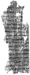 Private letter; Tebtynis?, end III CE. Black and white image of a piece of papyrus with writing on it.