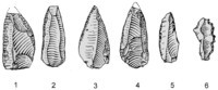 (1-5 modified from Chernysh 1961, 22, fig. 9; 6 modified from Lyubin and Autlev 1994, 221, fig. 40)