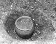 20 Purpose-made flower pot _in situ_. August 1999 (photo by K. Gleason).
