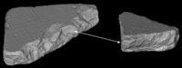 3D computer models of fragments 330 (left) and 354 (right), showing the unusual smooth, flat sections along the fractured edge surfaces near the proposed join.