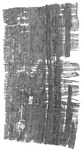 Contract of sale for a slave in the form of a synchoresis; Alexandria, 215–217 CE. Black and white image of the back of a piece of papyrus with writing on it.
