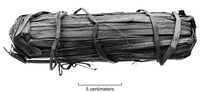 A photo of a bundle of bulrushes wrapped together. The edges are rounded, making it near cylindrical.
