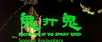 Sickly green characters are rendered in an archaic style. The lettering below mimics the style of the Chinese, while adding a comedic effect by juggling the letters on the line. Below that, a distributor has added an alternative title as a subtitle that also matches the color of the original. The screenscape includes a calligraphic lantern.
