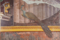Fig. 1.11. Oecus 15, east wall, detail of peacock on left. Photo: P. Bardagjy.