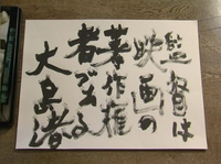 a scene showing a filmographer writing calligraphy