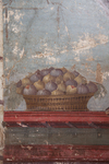 Fig. 2.19. Triclinium 14, north wall, middle zone, right, detail, basket of figs. Photo: P. Bardagjy.