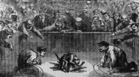 Figure 2.3 "The dog pit at Kit Burns' during a fight."