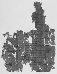 Three lists of names and an account; Arsinoite, Polemon Division, ca.156 CE. Black and white image of the back of a piece of papyrus with writing on it.
