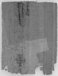 Petition wegen Verdrängungaus dem Erbteileines Hauses; Tinteris (Herakleopolites), 7.–8. Juli 137 v. Chr. Black and white image of the back of a piece of papyrus with writing on it.