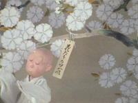 A calligraphic message warning people not to break branches off is tied to a tree branch covered in cherry blossoms by a young monk.