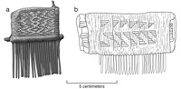 Two drawings of two combs from Cerro Azul. The drawing on the left is in grayscale, and the comb is narrower with longer teeth. The drawing on the right is black and white, and the comb is wider with shorter teeth.