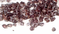 The dried shell of a scale insect, indigenous to Mexico, is the source of cochineal.