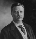 Fig. 10. A 1904 portrait of President Theodore Roosevelt.