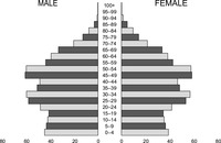 Image of 2 symmetrical pyramid graphs