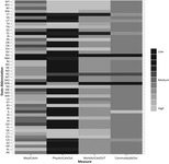 This is a matrix of data from all 50 states revealing the expected caloric intake and calories burned by the activity levels of people in each State. Differing shades of gray show the differences in intake and calories burned.
