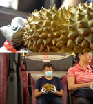 The top half of the photo is a close-up of the spiky skin of the durian fruit. The bottom half shows the artist, Luke Ching, sitting on a bus. He wears an air pollution mask and holds a durian fruit in his white-gloved hands