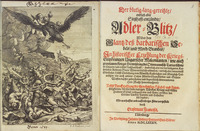 The left half is an illustration showing a battle. Men, many wearing turbans, flee from an overturned cart in the foreground, while men fight and raise flags in the background. An eagle, representing the German Empire, and two cherubs fly over the battle. The right half is the title page in red and black lettering.