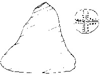 Fig 86: Inscribed Material from Bīr Shawīsh 28 shows jar lid with a dotted cross along its arms. It has a dimension of height 3.9 cm and maximum diameter of 4.2 cm.
