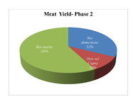 Proportions from the main domestic taxa from Phase B-2, quantified by meat yield.