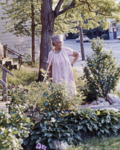 Photo: A light-skinned Black woman with gray hair pulled back wearing a pink-and-white striped dress standing looking out at a lush green garden with leaves and flowers. Woman is holding a rake and standing outside. In the background are a street, car, and corner shop. The sun is shining on her face.