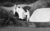 A black-and-white film still in a long shot. It shows three figures disembarking from a boat, with the middle figure and the right figure holding hands.