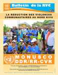 Figure 10.2. Title page of MONUSCO DDR/RR Bulletin, June 2017, showing a group of people in matching blue T-Shirts holding tree saplings