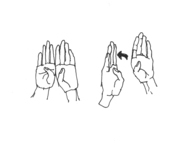 Figure 4 Open Sign: Open Door in American Sign Language