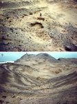 The top photo shows a workman sitting near the looters’ holes at Quebrada 5a at Cerro Azul. The bottom photo shows approximately four workmen and the excavation, with Cerro Centinela and the Pacific Ocean in the background.