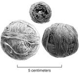 A black and white photo of three yarn balls. The yarn ball at the top is the smallest. The yarn ball at the bottom left was white. The yarn ball at the bottom right was dyed blue.