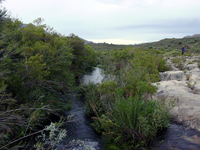 The Olifants River Near Its Headwaters