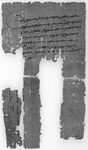 Receipt for ἐγκύκλιον; Tebtynis, 161 CE. Black and white image of a piece of papyrus with writing on it.