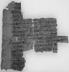 Fragment einer Eingabe; Herakleopolites, 137? v.Chr. Black and white image of the front of a piece of papyrus with writing on it.