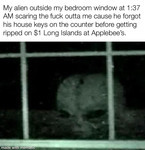 A blurry alien face looking into a window. Text above reads, “My alien outside my bedroom window at 1:37AM scaring the fuck outta me cause he forgot his house keys on the counter before getting ripped on $1 Long Islands at Applebee’s.”