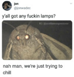 Large moth at a windowsill. Text above reads, “Y’all got any fuckin lamps?” Text below reads, “Nah man, we're just trying to chill.”