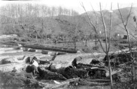 27 Photograph from Price excavations showing orchards in the unexcavated area of Sector VII.1. Castagneto in backround (Price 1932).