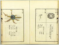 The two book pages reproduced here include anatomical drawings in color with text accompanying them. The drawings depict two different views of one eye.