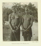 Source: Henri A. Junod, Life of a South African Tribe (Neuchatel: Imprimerie Attinger Frères, 1912), 1:182.
