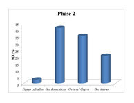 Proportions of the remains of identifiable individuals of the main domestic taxa from Phase B-2.