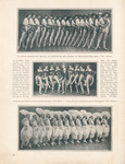 A page from a German magazine, featuring a wide photograph along the top of the page, a smaller wide photograph in the very center with German text on either side, and another photograph at the bottom of the page. The topmost photo features sixteen dancers standing in a curved line, holding one another with front legs pointed outward and all wearing wide-brimmed hats. The center photo features one male dancer standing in the middle of two sets of four female dancers, who have their front legs bent and hanging in the air. The bottom photo features a row of thirteen dancers in white fluffy costumes and headdresses with hands on their hips.
