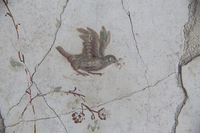 Fig. 21.541. Porticus 60, north wall, middle zone, left, flying bird. Photo: P. Bardagjy.