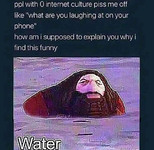 Still of Hagrid from an old PlayStation game in the water with the word “water” superimposed over it. Accompanying text reads “ppl with 0 internet culture piss me off like ‘what are you laughing at on your phone’ How am i supposed to explain you why i find this funny.”