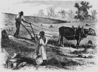 Figure 4.10 "Plowing in South Carolina."
