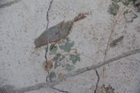 Fig. 1.35. Porticus 60, west wall, detail of bluebird on panel 15 upper right, workshop A. Photo: P. Bardagjy.